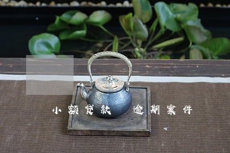 小额贷款 逾期案件 小额贷款 逾期案件